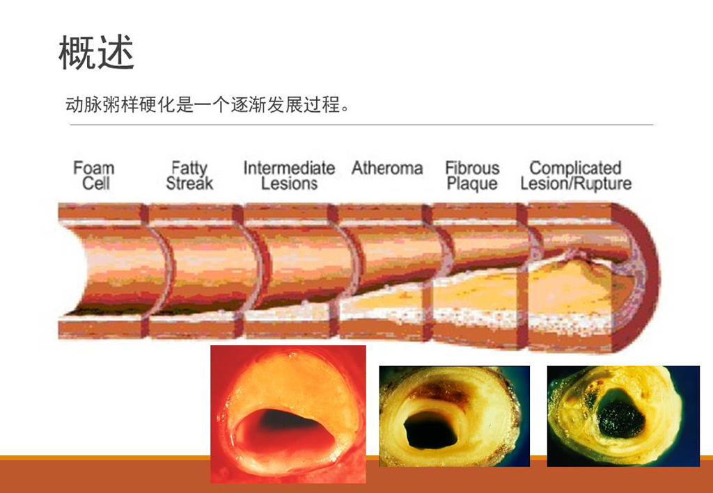 幻灯片4.jpg