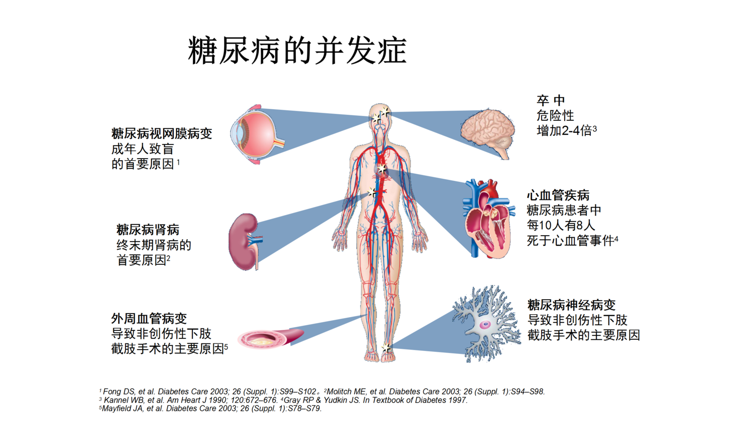 王闻博 (4).png
